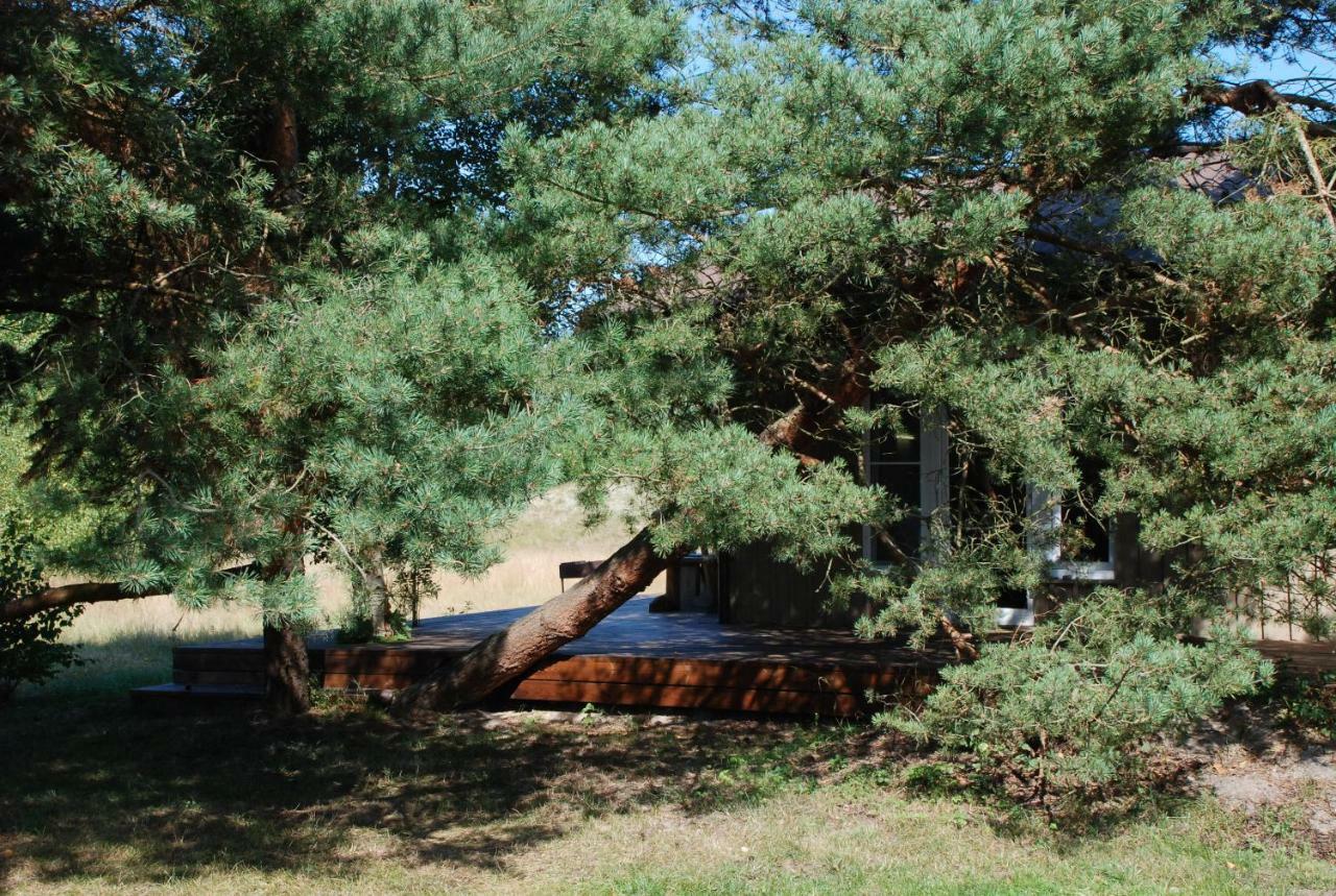 Villa Pape Rogas Extérieur photo